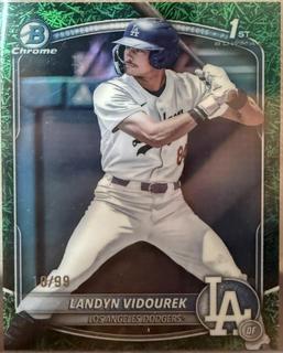 Landyn Vidourek
