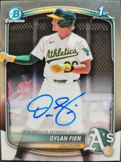 Dylan Fien