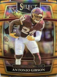 Antonio Gibson