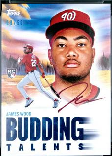 James Wood