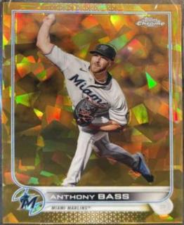 Anthony Bass