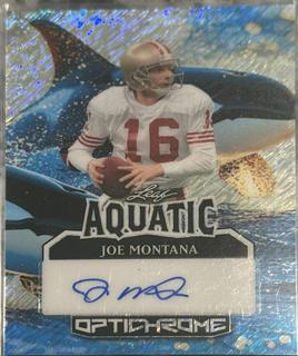 Joe Montana