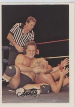 Larry Zbyszko, Kendall Windham #34 Wrestling Cards 1988 Wonderama NWA