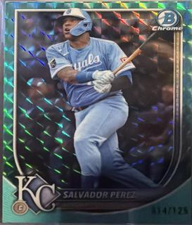 Salvador Perez
