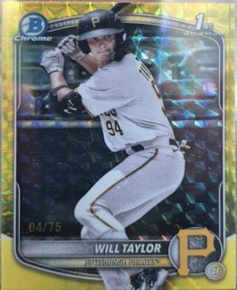 Will Taylor