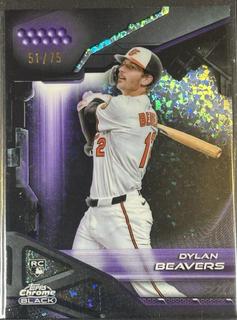 Dylan Beavers
