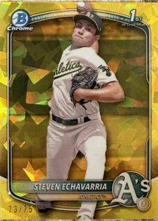 Steven Echavarria
