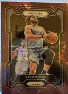 David Roddy