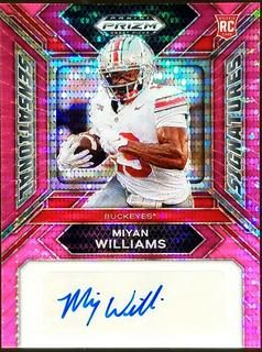 Miyan Williams