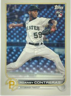Roansy Contreras