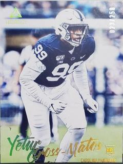 Yetur Gross Matos