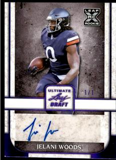 Jelani Woods