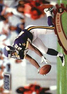 David Palmer