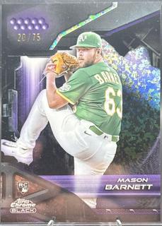Mason Barnett