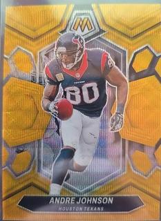 Andre Johnson