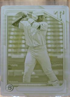 Pablo Guerrero