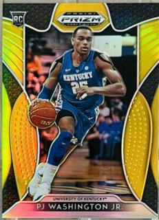 PJ Washington Jr.