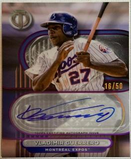 Vladimir Guerrero
