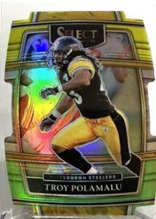 Troy Polamalu