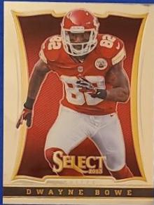 Dwayne Bowe #49