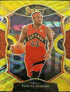 Pascal Siakam