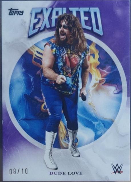 Dude Love [Purple] #89