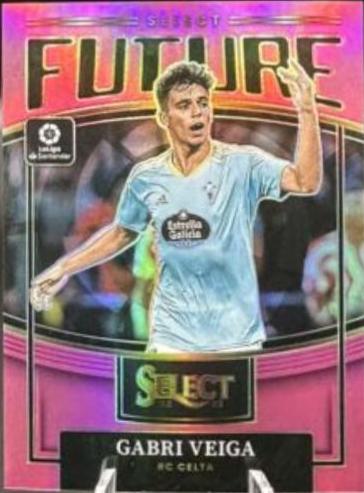 Gabri Veiga [Pink] #15