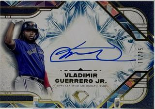 Vladimir Guerrero Jr.