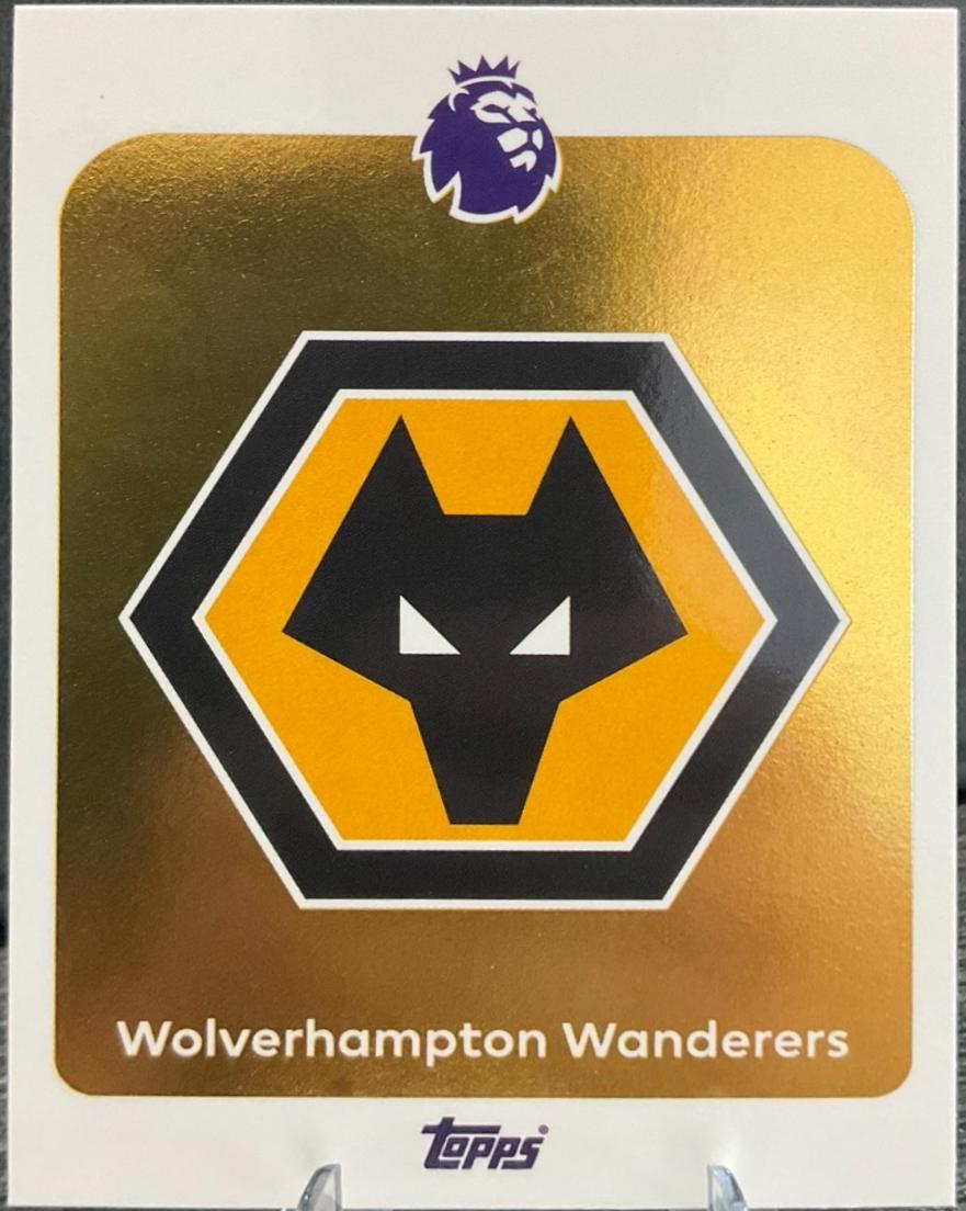2025 Team Badge #289