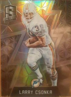Larry Csonka