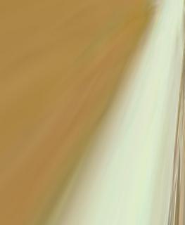 Zion Williamson