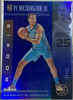 PJ Washington Jr.