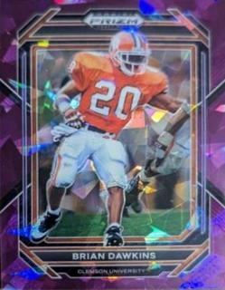 Brian Dawkins