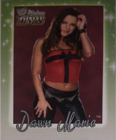 Dawn Marie #17 Wrestling Cards 2003 Fleer WWE Divine Divas
