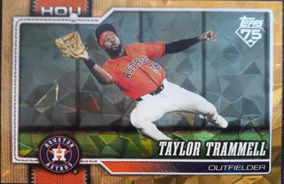 Taylor Trammell