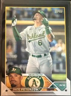Jace Peterson