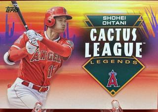 Shohei Ohtani
