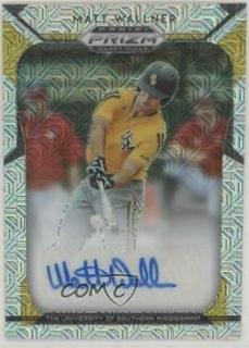 Matt Wallner