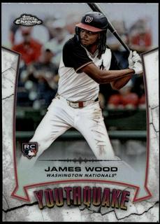 James Wood