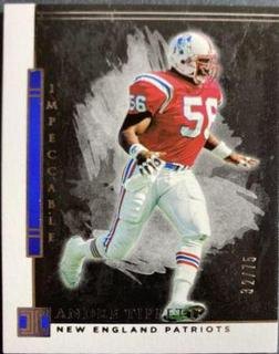 Andre Tippett