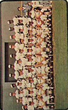 Braves Team #521 1973 O Pee Chee Baseball