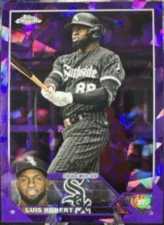 Luis Robert