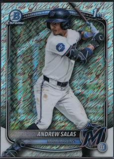 Andrew Salas