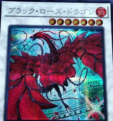 Black Rose Dragon [New Art] QCAC-JP003