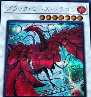 Black Rose Dragon QCAC-JP003