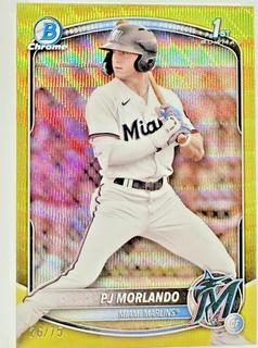 PJ Morlando
