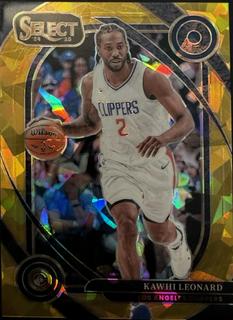 Kawhi Leonard