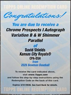 David Shields