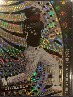 Tim Anderson