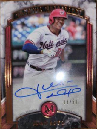 Juan Soto #AA-JS